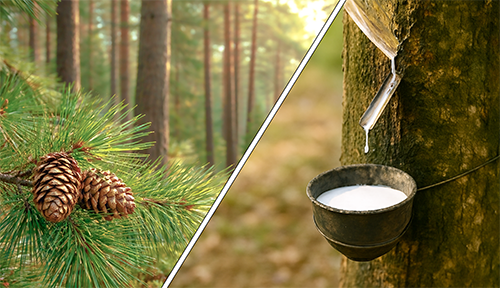 Durable & éco-conçu